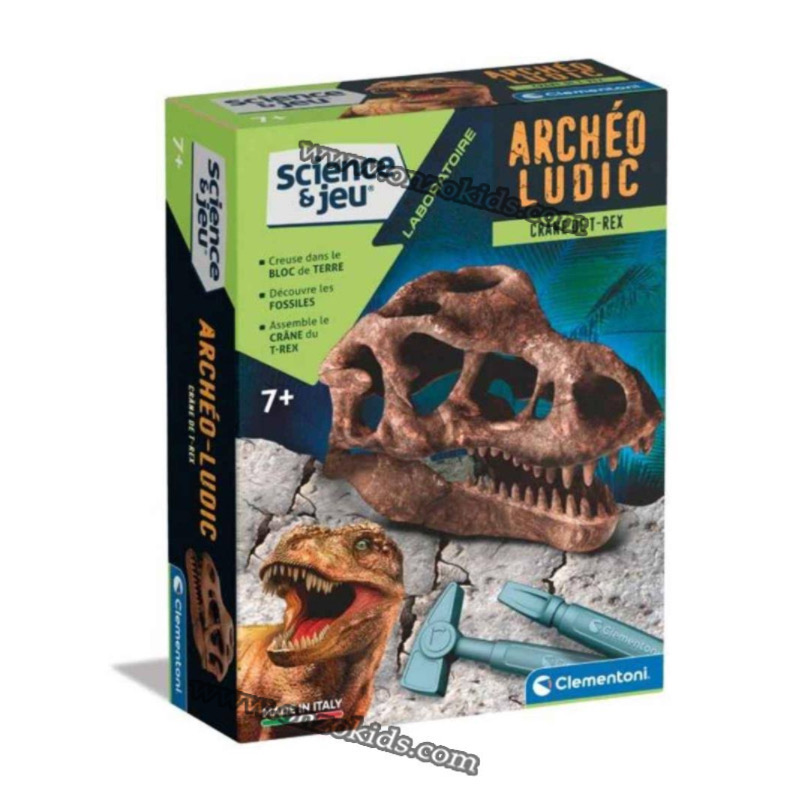SCIENCE ET JEU -ARCHEO LUDIC - CRANE DE T-REX – Image 2