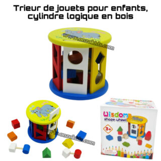 Trieur de jouets pour enfants, cylindre logique en bois