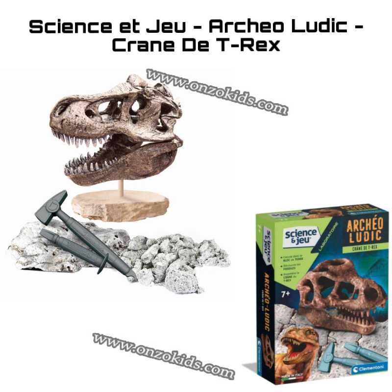 SCIENCE ET JEU -ARCHEO LUDIC - CRANE DE T-REX