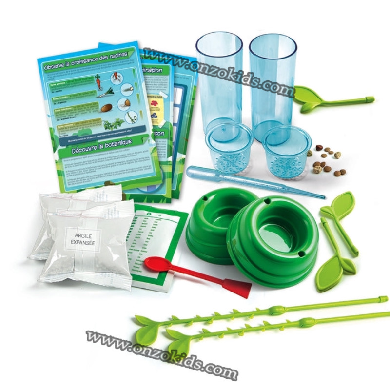 Science Et Jeu Botanique Et Hydroponie Jeu Éducatif – Image 4