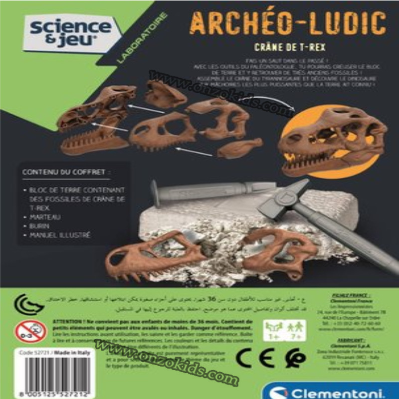 SCIENCE ET JEU -ARCHEO LUDIC - CRANE DE T-REX – Image 5