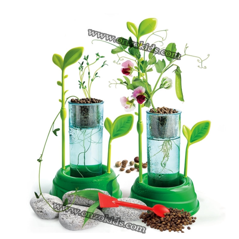 Science Et Jeu Botanique Et Hydroponie Jeu Éducatif – Image 5