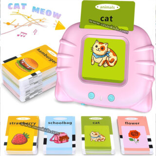 Cartes Flash Parlantes