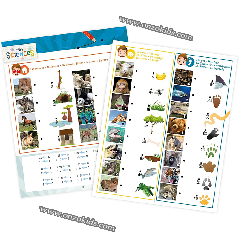 Mini sciences Lanterne 3 en 1 - Buki – Image 2