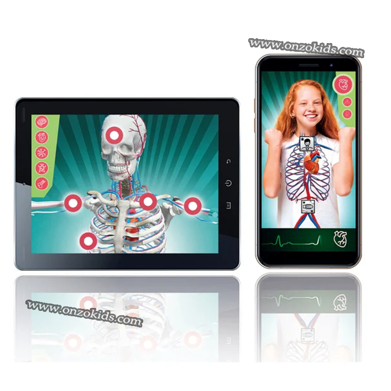 Jeu Scientifique laboratoire d'anatomie - Clementoni – Image 4