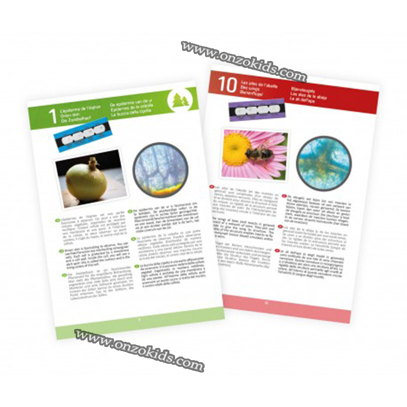 Microscope 15 Expériences - Buki – Image 5