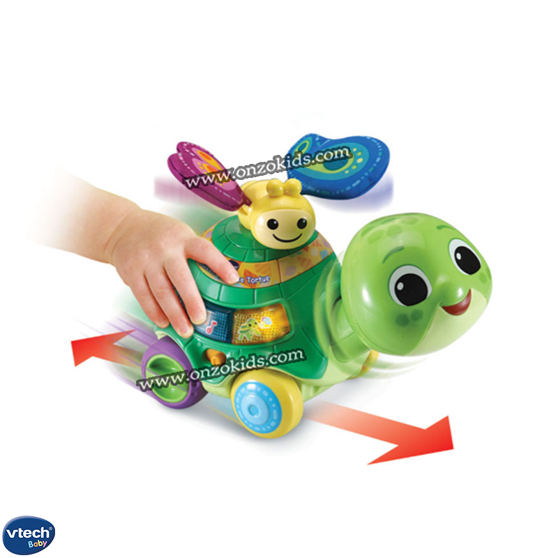 Pousse - Pousse tortue lumineuse et musicale pour bébé - Vtech – Image 4