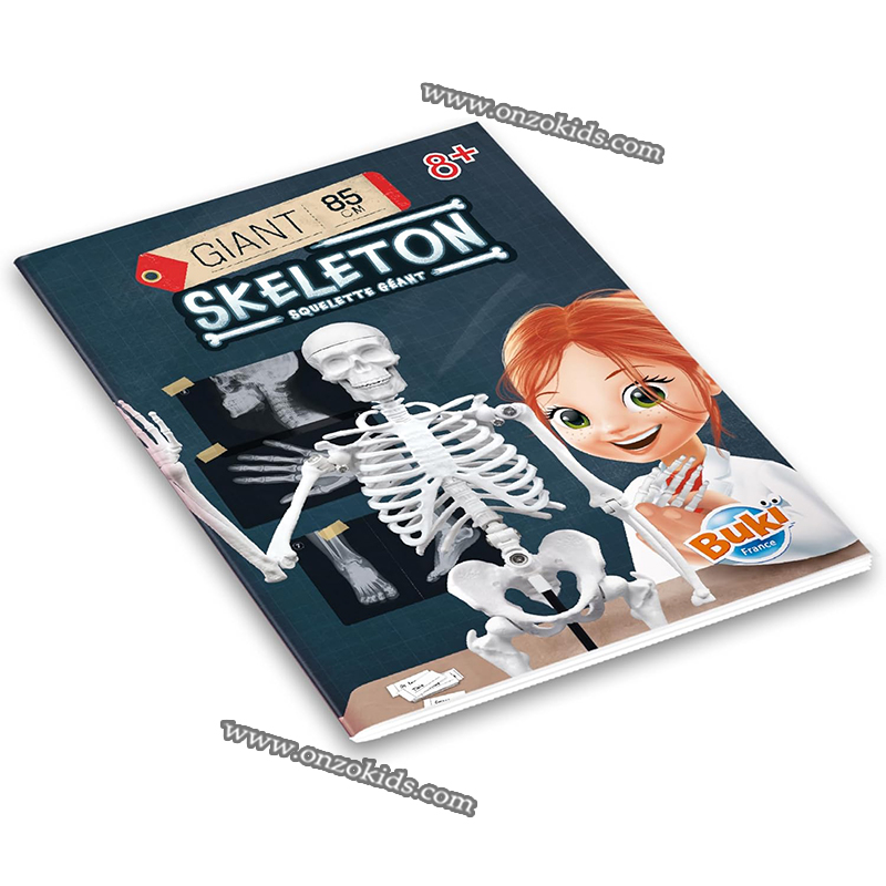 Squelette Géant 85cm-Buki – Image 5