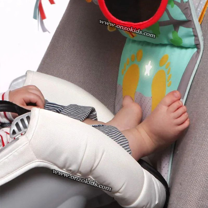 Tableau de Voiture Hibou Jouet Musical-TAF TOYS – Image 3