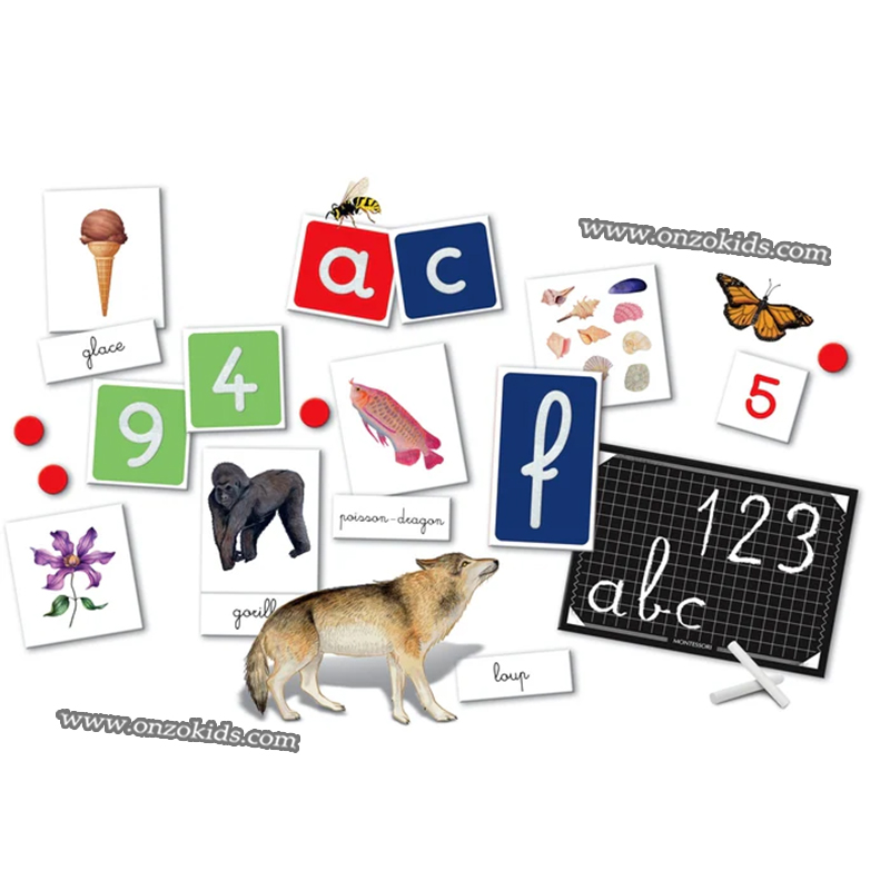 Coffret de jeux montessori - Clementoni – Image 2