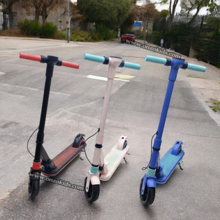 Trottinette électrique, Scooter rechargeable EVO Pro