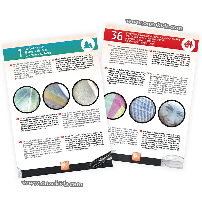 Microscope binoculaire 3D - Buki France – Image 4