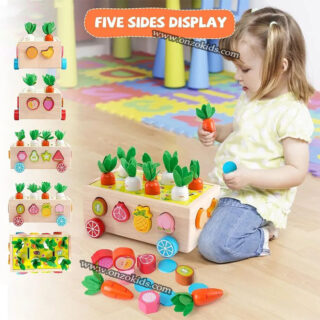 jouet de motricité en bois, récolte de carotte 3en1 pour enfant