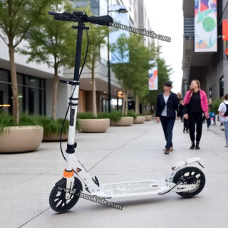 Trottinette Grande Roue, Scooter Adulte