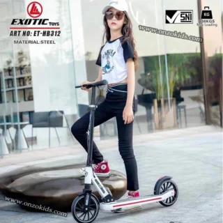 Trottinette pour adults