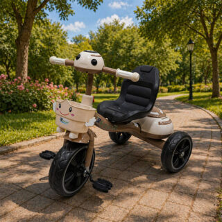 Vélo Tricycle Enfant Stable & Ludique