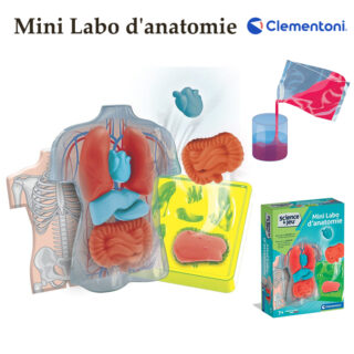 Mini Labo D’anatomie - Clementoni