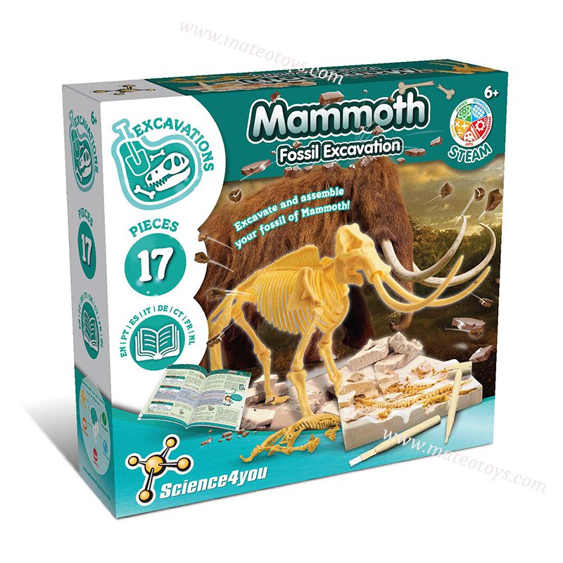 Jeux d'archéologie dinosaure achat Excavation de fossiles de mammouth – Image 5